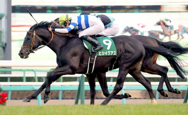 23年中山記念など重賞3勝のヒシイグアスが競走馬登録抹消　今後は中山競馬場で乗馬に