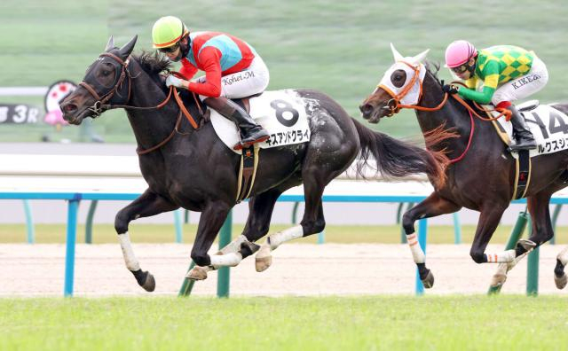 マイルCS当日の京都競馬場の芝の状態についてルメール騎手「悪いです…」　ブレイディヴェーグの内枠については…