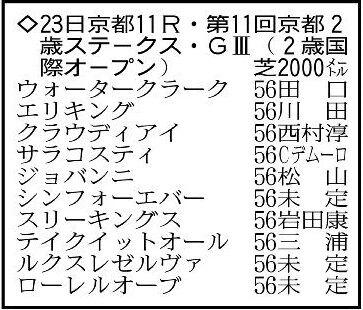 【京都2歳ステークス展望】2戦2勝のエリキングが一歩リードか　前走圧勝のサラコスティにも注目