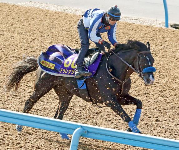 【ジャパンC・西山の特注馬】昨年の菊花賞馬ドゥレッツァの最終追い切りに注目　英国帰り初戦