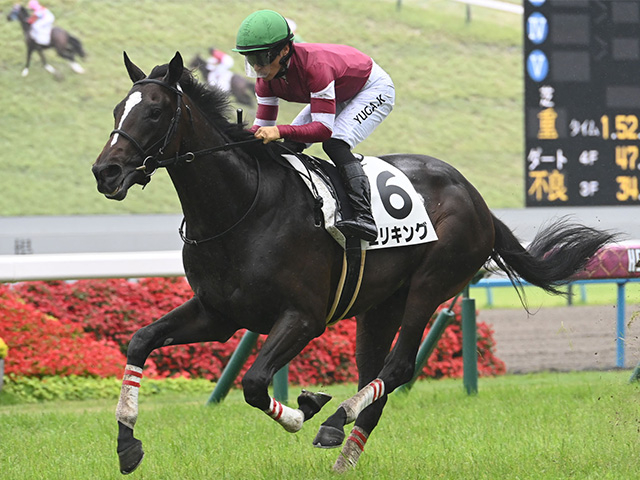 【京都2歳S想定騎手】エリキングは川田将雅騎手、サラコスティはC.デムーロ騎手