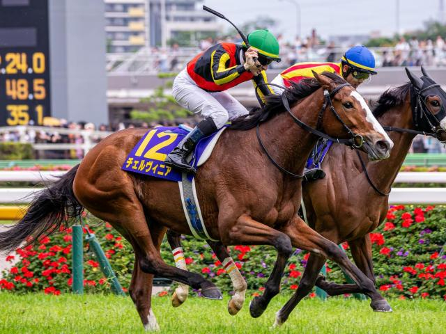 【ジャパンC】秋華賞覇者のチェルヴィニア 史上3頭目の3歳牝馬Vに挑戦だ