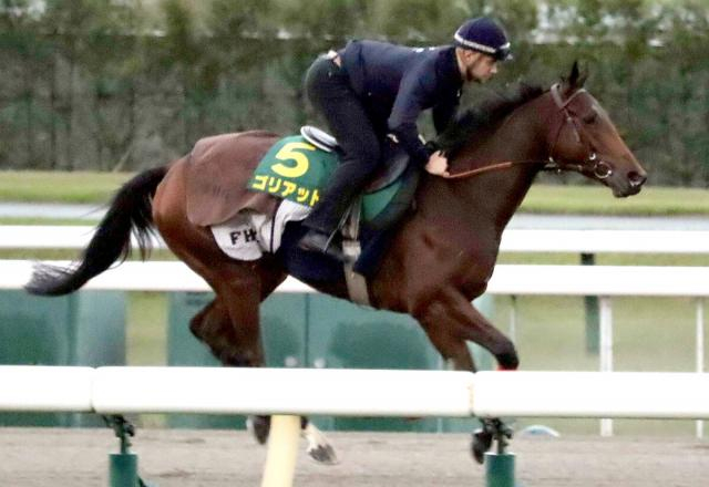 【ジャパンC】フランスから参戦のゴリアットは底知れない超上がり馬　「完璧」キングジョージVの再現狙う