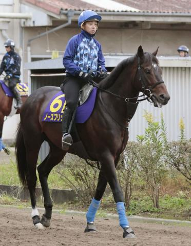 【注目馬動向】ノースブリッジが脚部不安により香港カップを回避　奥村武調教師「復帰できても…」