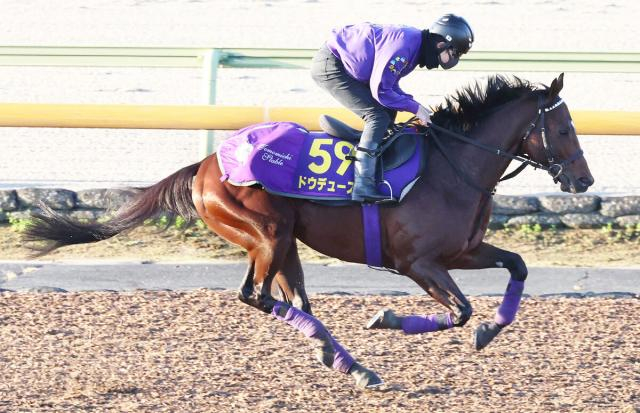 【ジャパンC】最強ドウデュースに隙はなし　友道調教師「春に比べると馬っ気も少ない」