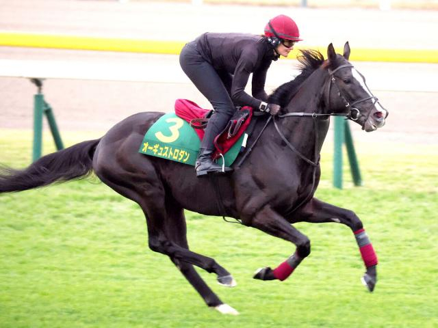 【ジャパンC】ディープインパクト産駒オーギュストロダンがレース後に引退セレモニー実施へ　外国馬では史上初