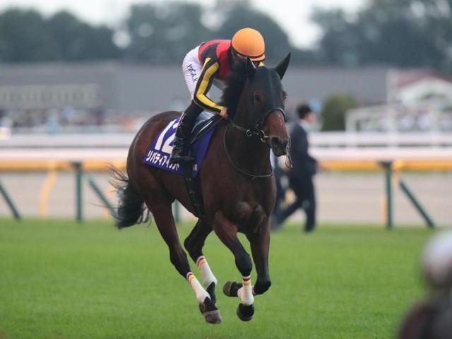 【有力馬情報】大敗した天皇賞のダメージは感じられないリバティアイランド/馬三郎のつぶやき