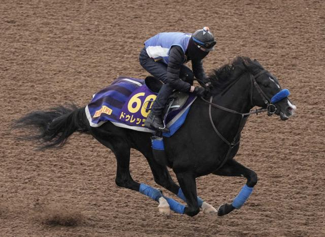 【ジャパンC】ドゥレッツァ　菊花賞に劣らない出来、尾関師「追うごとに状態は上がってる」