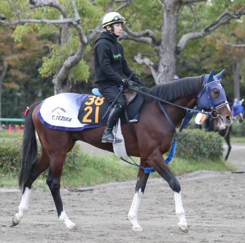 フィエールマン産駒の良血馬　24日新馬戦でデビュー　手塚調教師「切れ味がありそう。動きは素軽い」