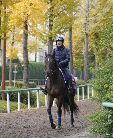 【ジャパンC】ドバイ以来となる昨年3着馬の気になる事前馬体重　高柳瑞樹調教師が口にした「ゆとりが…」