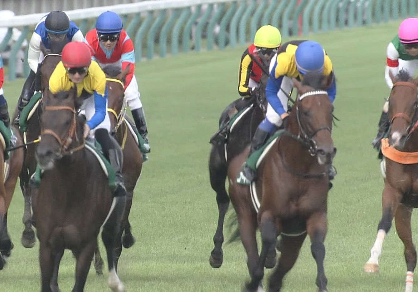 【競馬】東京5R・単勝1.3倍パルフェクォーツで死亡奴wwwwwww