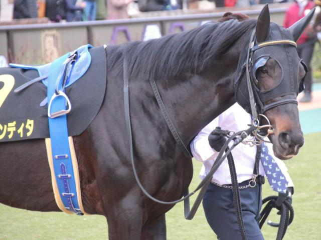 【チャレンジC】武豊騎手が10年ぶり7勝目なるか 古豪エアファンディタで参戦だ