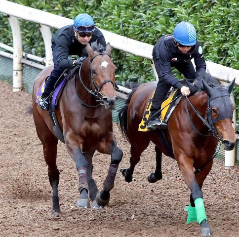 【チャンピオンズC】サンライズジパング伸び上々!武豊、G1で25度タッグもまだ勝利がない音無調教師と「一緒に勝てたらすごくうれしい」