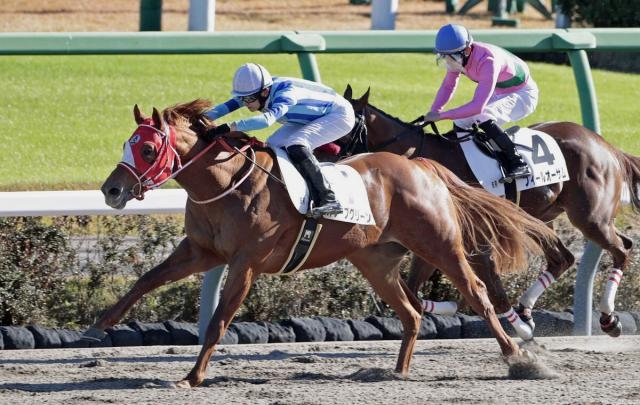 【中山6R・2歳新馬】坂井瑠星騎手騎乗のオリーブグリーンが1番人気に応えて快勝「いろいろ経験できて良かった」