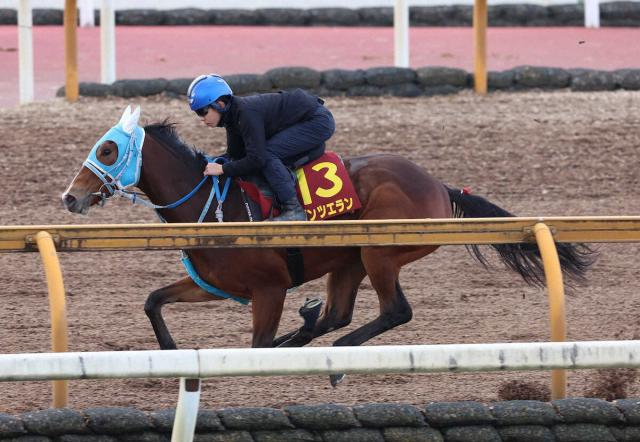 【阪神JF】ダンツエラン　シャープな脚色光る、団野「引き続きいい状態」