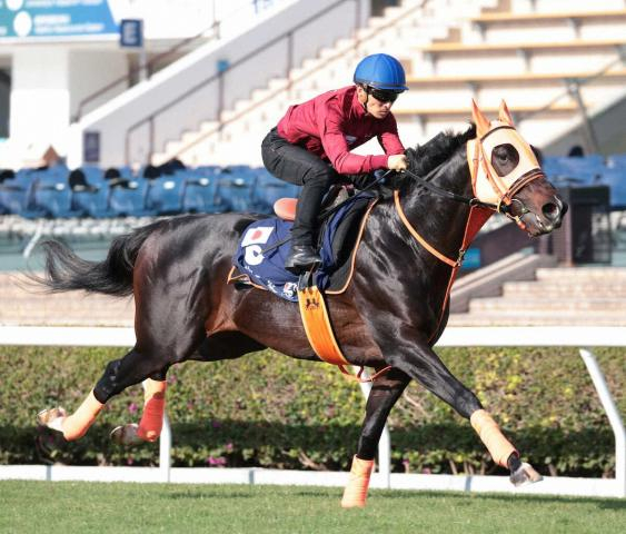 【香港マイル】ジャンタルマンタル　久々の影響なし、川田「いい状態で競馬を迎えてくれると思う」