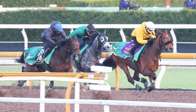 【有馬記念2週前追い】ベラジオオペラ意欲的!CWコース3頭併せ最先着