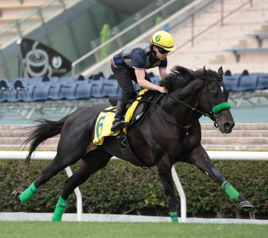 【香港スプリント】ルガル最善的調整!西村淳を背にグイグイ加速2F22秒5