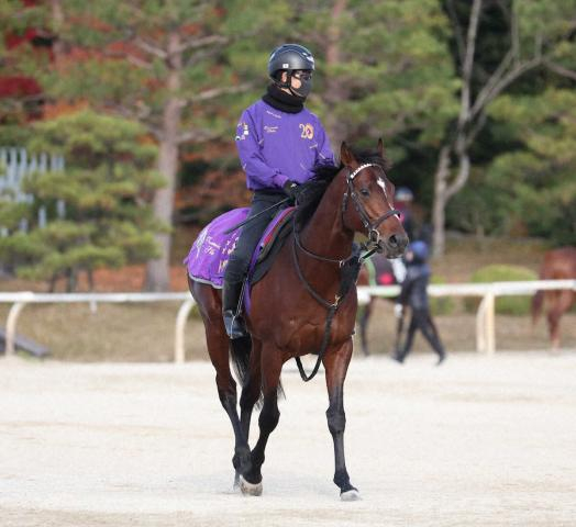 【有馬記念】ドウデュース　史上最多47万8415票!ラストランへ友道師「今が一番いい感じ」