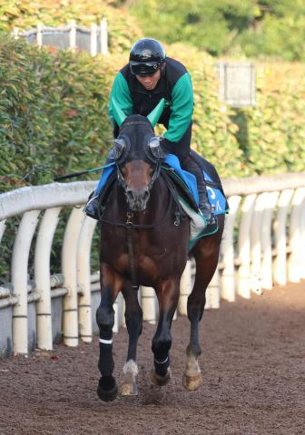 【カペラS】重賞3勝目を狙うチカッパは6枠11番　一気の3連勝がかかるサンライズアムールは7枠14番　枠順確定