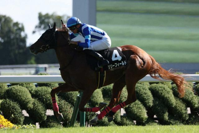 【阪神JF】(15)リリーフィールド　京都芝は歓迎　小崎師「武豊騎手の庭だから」