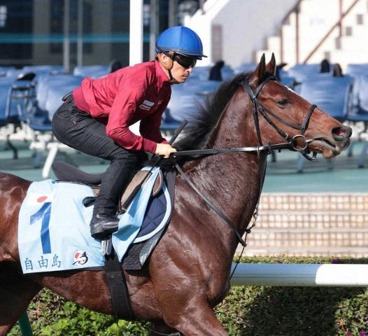 【香港カップ】2着リバティアイランドの中内田師「完敗」も「自分の競馬をしてくれた」