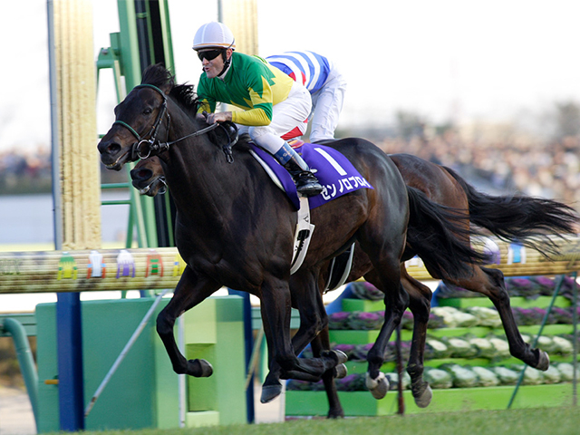 ゼンノロブロイの秋古馬三冠から20年 記録尽くめだった有馬V