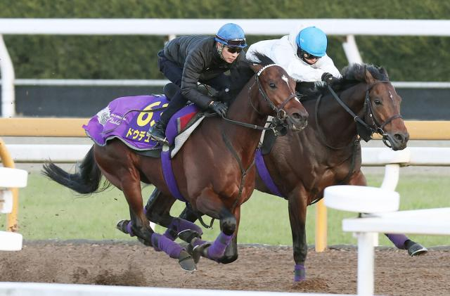 【有馬記念】武豊騎乗で最後の追い切り　ドウデュースの完璧デモに「俺は明らかに去年より状態はいい」有終Vへ改めて闘志