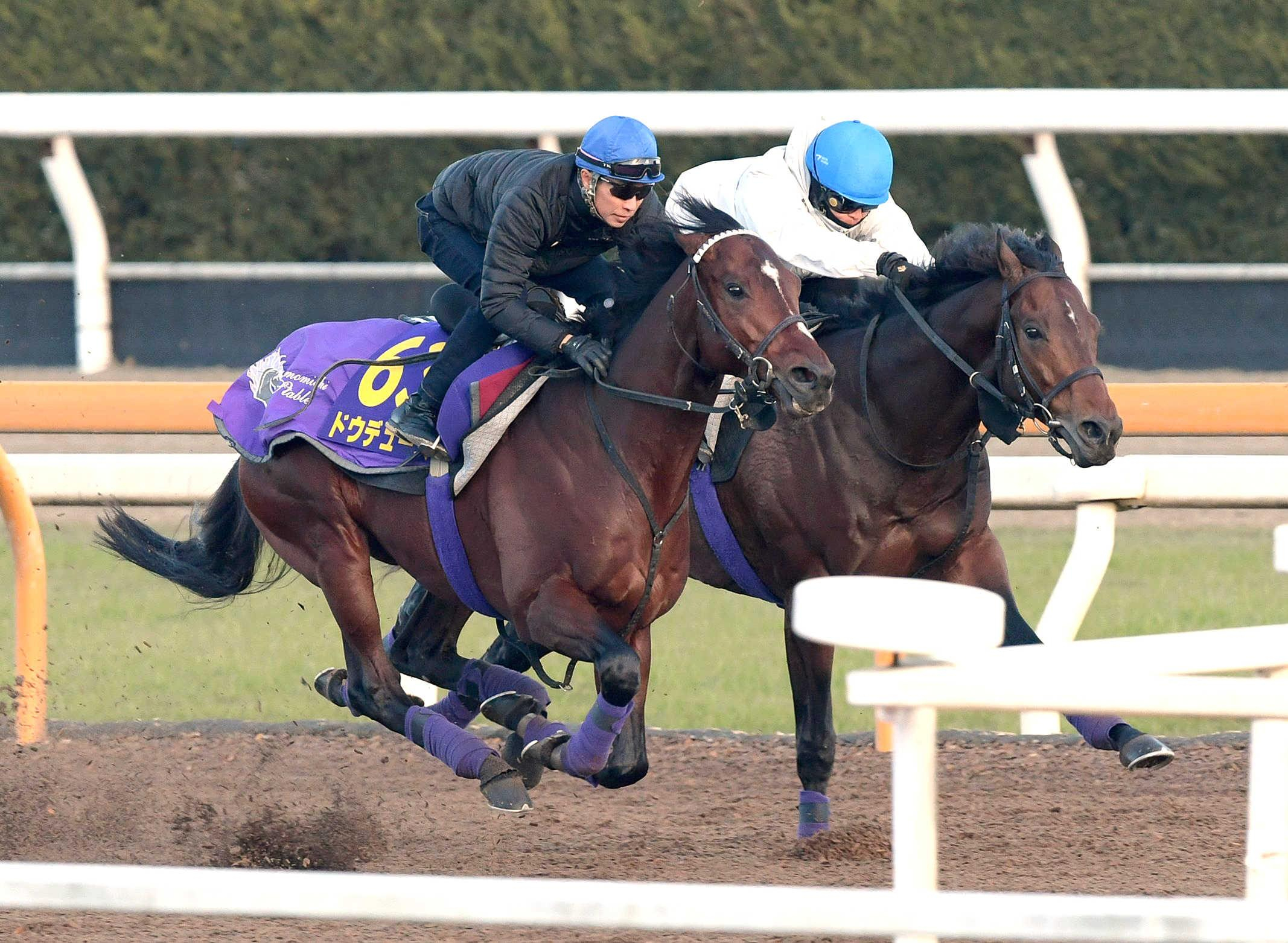 【有馬記念】ドウデュース　威風堂々　武豊背に秋古馬３冠で有終の美へ文句なし　「引き続き順調」友道師も手応え