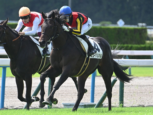 【朝日杯FS・調教後馬体重】ミュージアムマイルは490kg、アルテヴェローチェは468kg