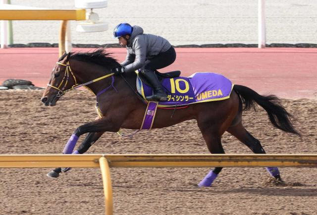 【朝日杯FS】ダイシンラー　しっかりと反応、岩田康「今の京都は合う」