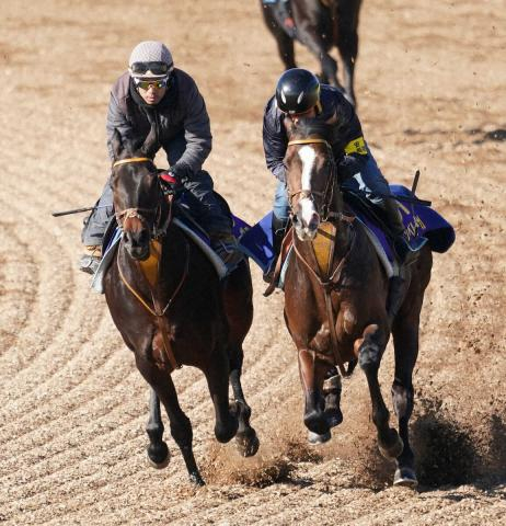 【有馬記念1週前追い】ダノンベルーガ　堀師辛口評価も…「状態も少しずつ良くなっている」