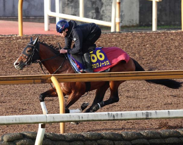 【有馬記念1週前追い】プログノーシス　鞍上三浦に決定!栗東に駆けつけて調教騎乗