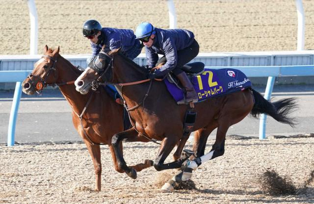 【有馬記念1週前追い】ローシャムパーク悲願へ加速!初コンビのマーカンド背にWコースラスト1F11秒5