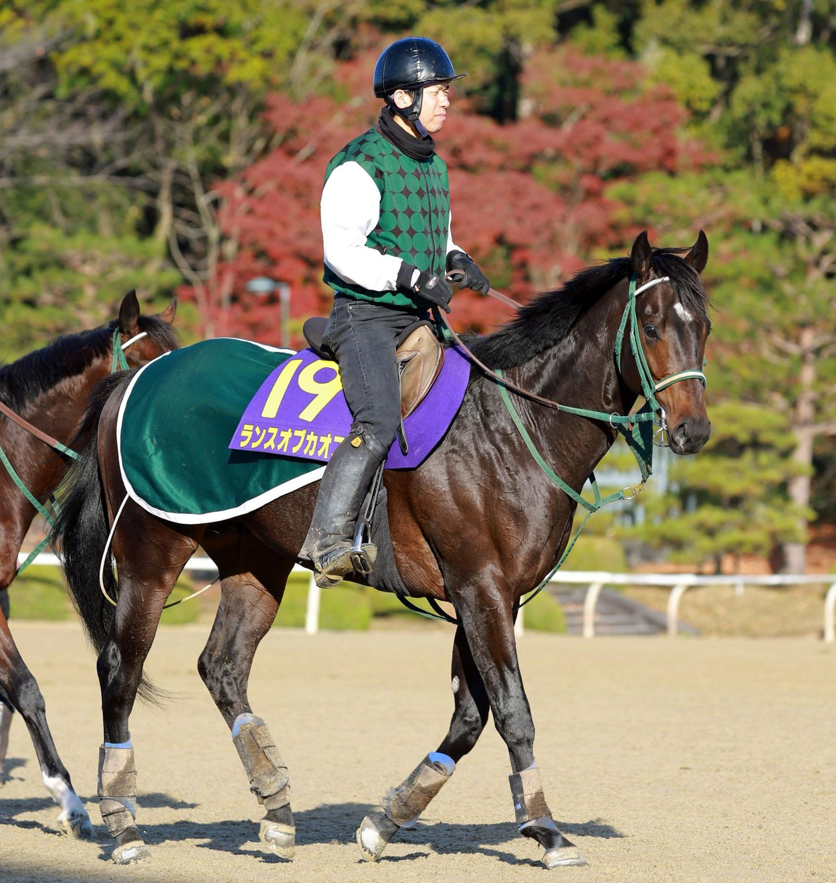 【朝日杯ＦＳ】ランスオブカオス　奥村豊師「自信を持って乗ってもらいたい」中１週もダメージなし