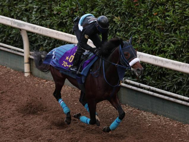 【有馬記念】ブローザホーンがグランプリ春秋連覇へ上昇ムード　吉岡調教師「秋では一番いい状態」