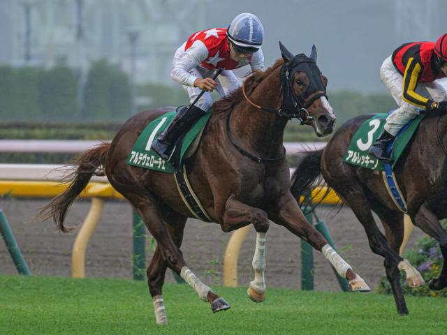 【今日の注目ポイント】京都で2歳マイル王決定戦・朝日杯FS