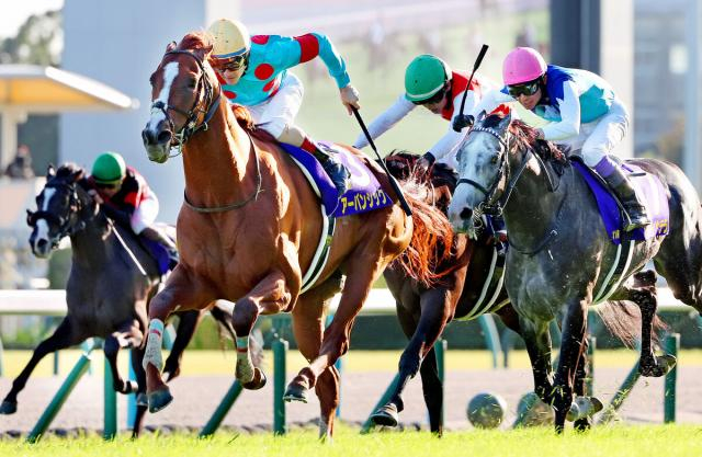 【有馬記念】注目は激流だった菊花賞は参考外のダービー馬&ジャパンCより条件好転する23年天皇賞・春V馬