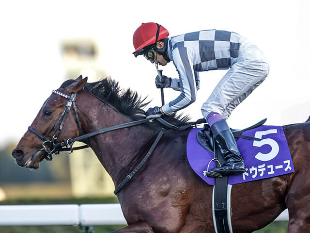 【有馬記念完全ガイド】競馬初心者のみなさまへ！ 今年の出走馬16頭を徹底解説