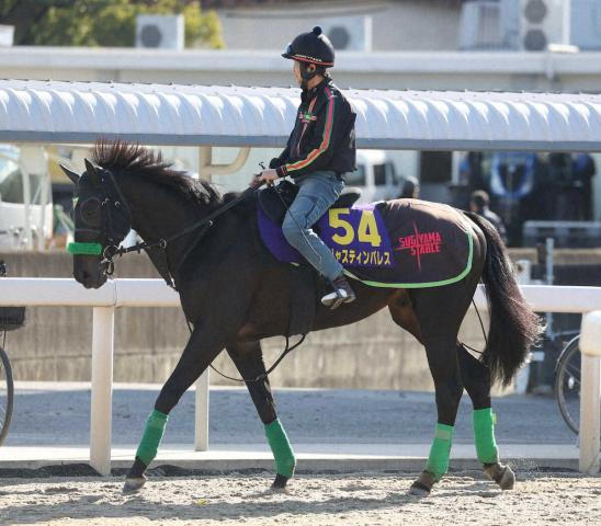 【有馬記念】ジャスティンパレス　雰囲気良さそう、陣営「前走のようにスタートを決めてほしい」