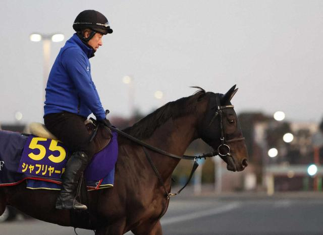 【有馬記念】シャフリヤール　あとは体調整えるだけ、藤原師「ベテランだし経験豊富」