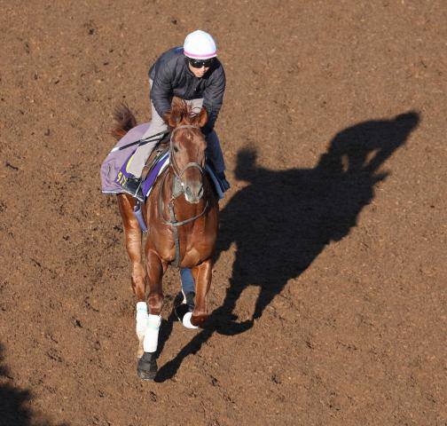 【有馬記念】ダノンデサイル　巻き返しへ闘志、安田師「追い切りに向けた準備」