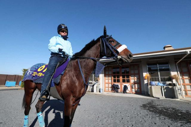 【有馬記念】ブローザホーン　得意舞台で変身!吉岡師「いい頃の状態に戻ってきました」