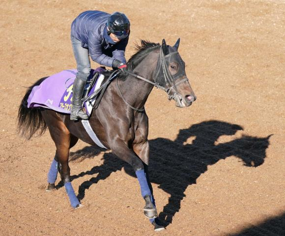 【有馬記念】スターズオンアース　前向きさが出た、陣営「いい感じ」