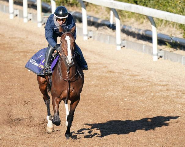 【有馬記念】ローシャムパーク　馬体張りとツヤ、田中博師「一発狙える舞台」