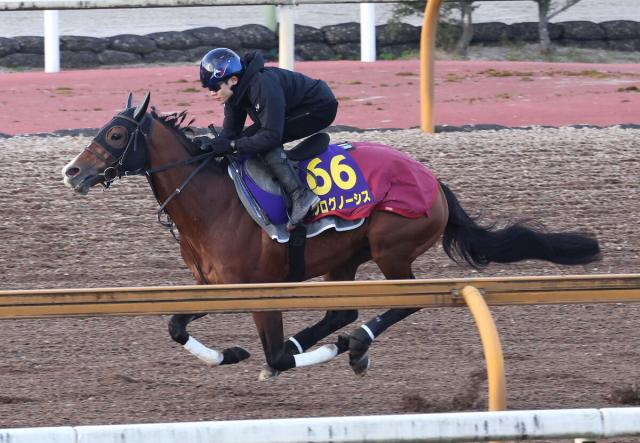 【有馬記念】プログノーシスがG1奪取に向けて絶好の動きを披露　三浦皇成騎手「とにかく一番いい走りを」