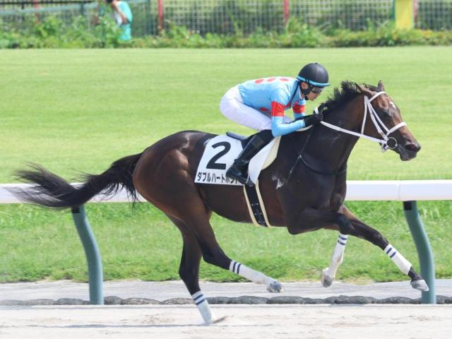 【有力馬動向】2戦2勝のダブルハートボンド推進力抜群！ 来年の飛躍に期待/馬三郎のつぶやき