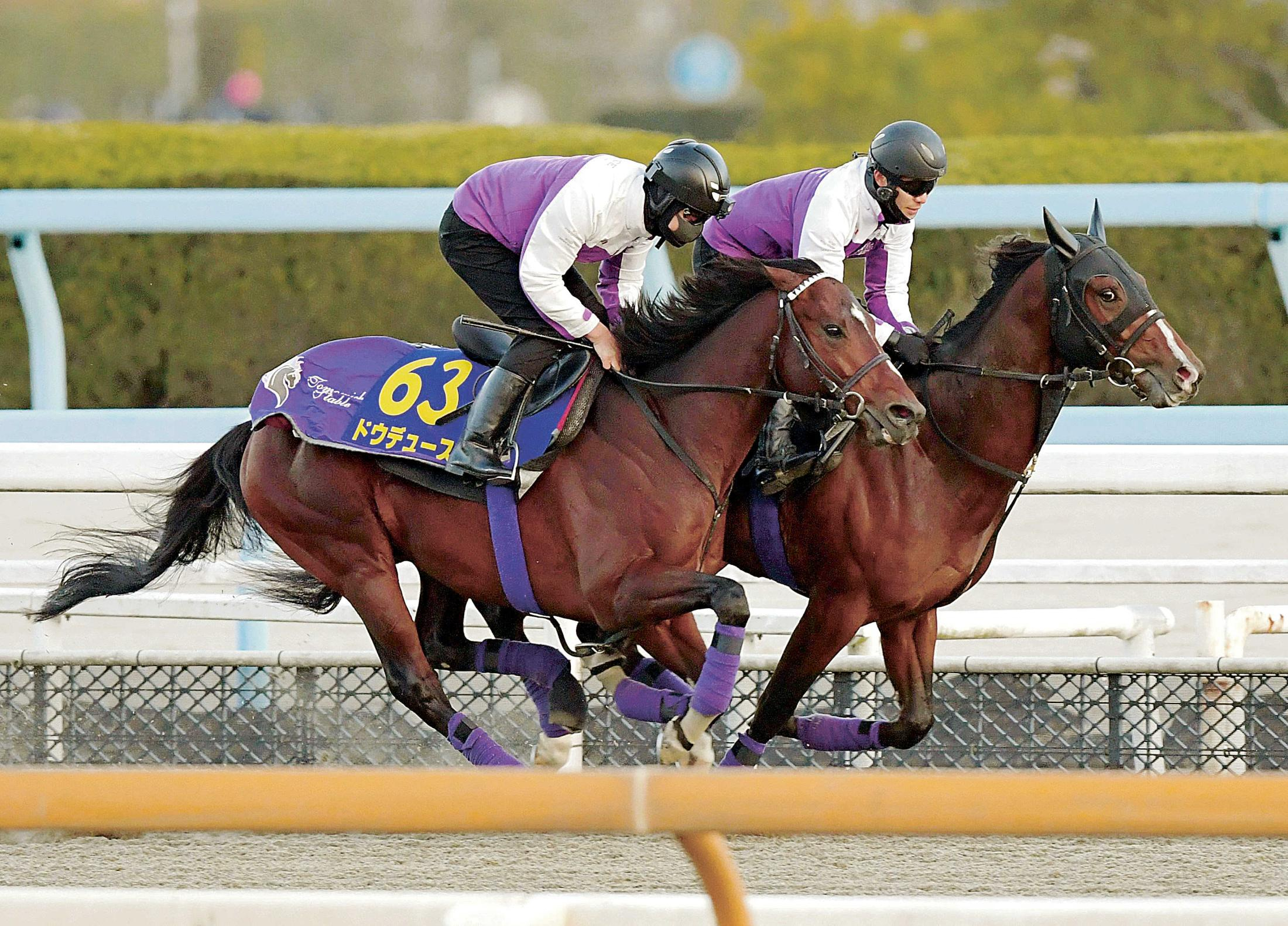 【有馬記念】ドウデュース　計算通り“静”のリハで偉業達成へ　友道師「十分出来キープ」万全アピール