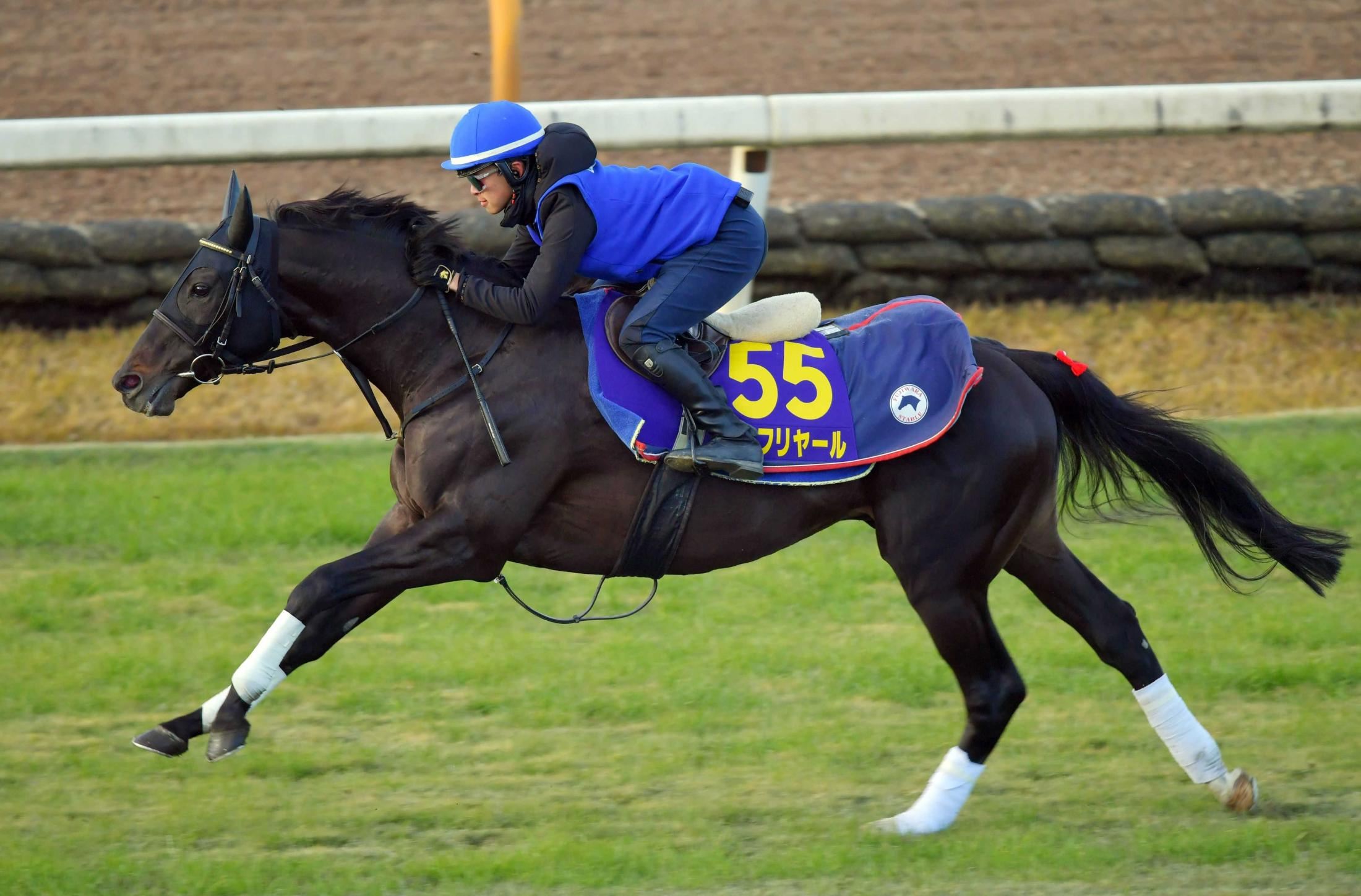 【有馬記念】シャフリヤール　躍動感あふれる動き　藤原師も満足「絶好調！」ダービー馬が反撃へ