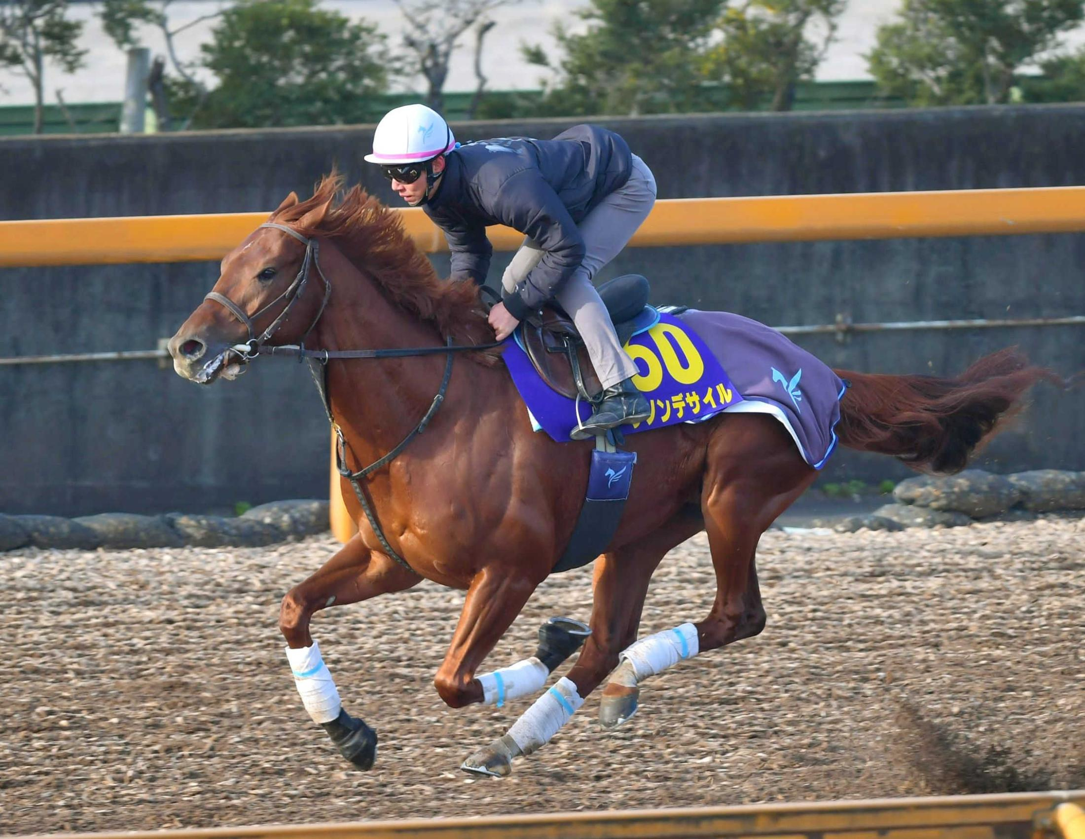 【有馬記念】ダノンデサイル　ダービーとは違う自然体リハ　同一年制覇へ安田師「精神面の方を重要視」